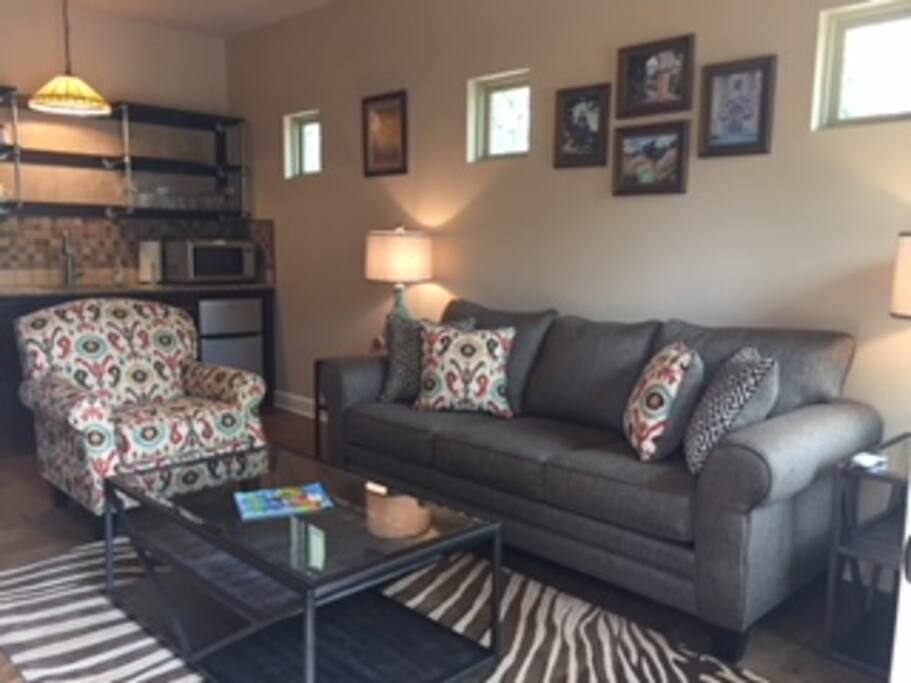 Livingroom w/sofa sleeper