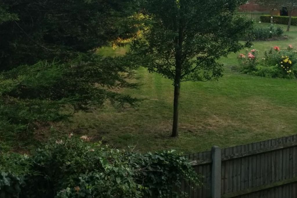 View from the window