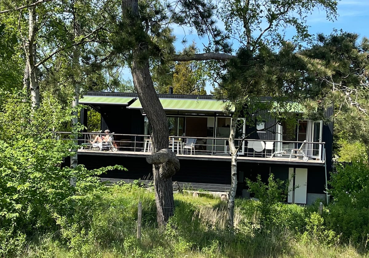 The architecturally designed house features a modern exterior with a green roof and large balcony. Surrounded by trees and greenery, outdoor seating is visible on the balcony, providing a harmonious connection with the natural landscape.