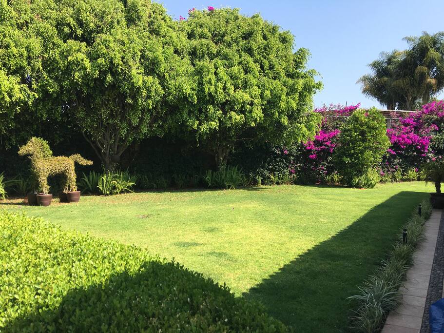 GARDEN VIEW
Vista del Jardín