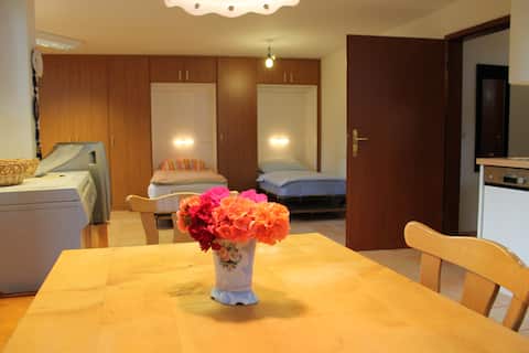 Top performing Airbnb: Apartment in Marienthal in Marienthal