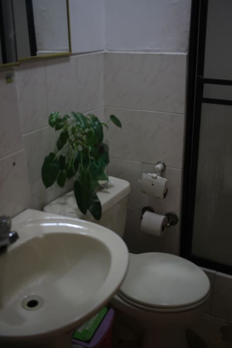 Baño compartido