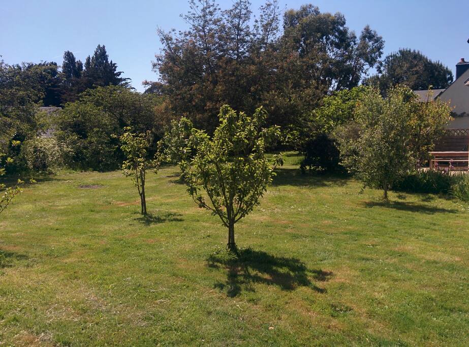 Un grand jardin plein sud !