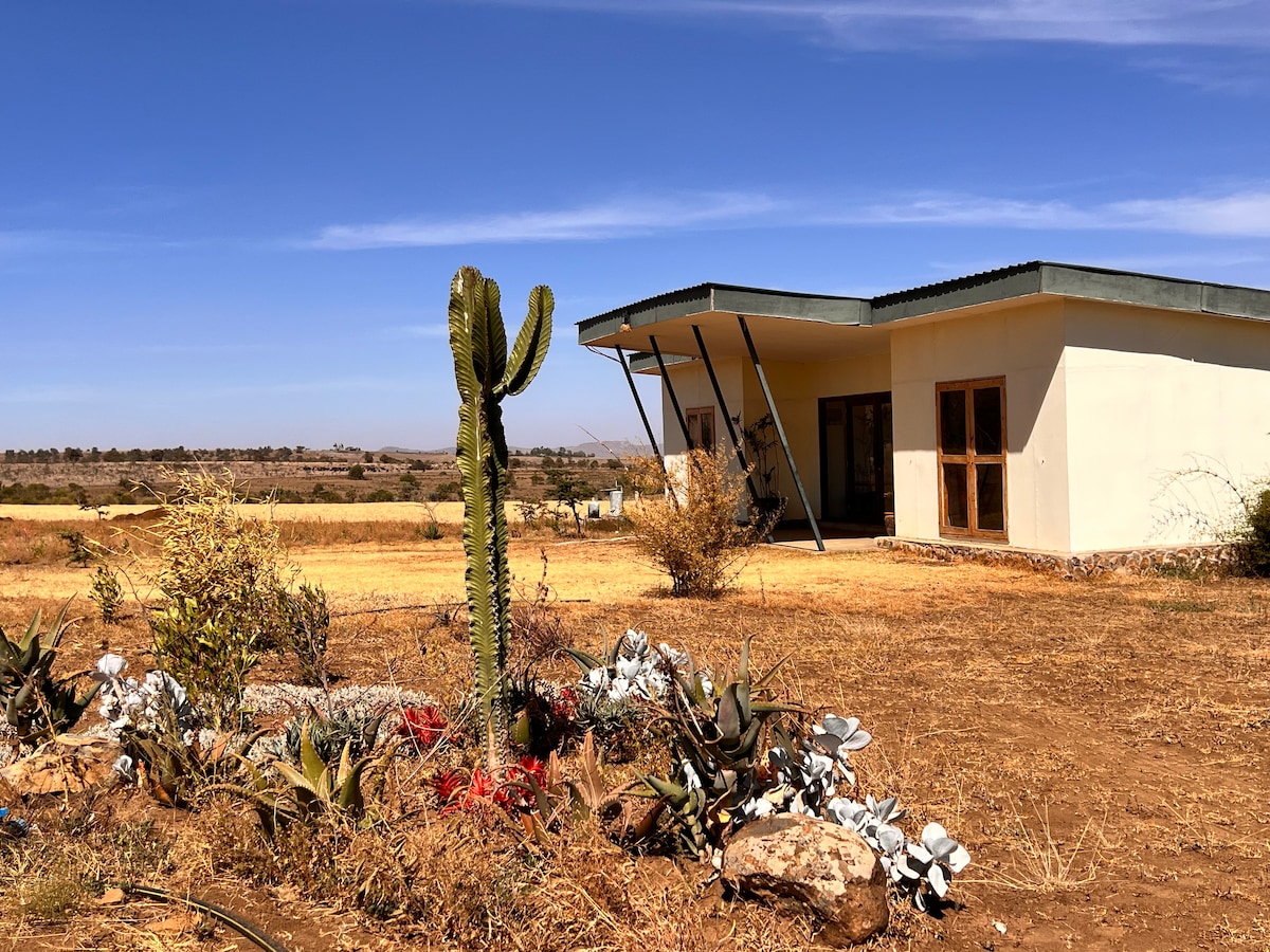 A modern building is seen set against a clear blue sky. The structure features a flat roof and large windows, surrounded by sparse vegetation including a tall cactus and various plants at the base. The landscape showcases dry grass and distant hills.