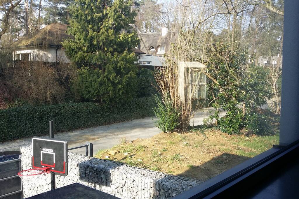 Window view