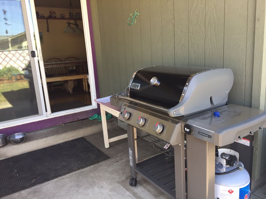 Gas BBQ