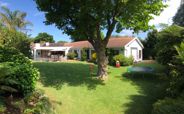 Beautiful home near Constantia wine farms gallery image 4