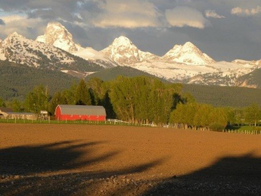 View of Tetons from the front porch