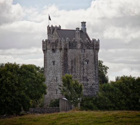 Live like a King in my Castle