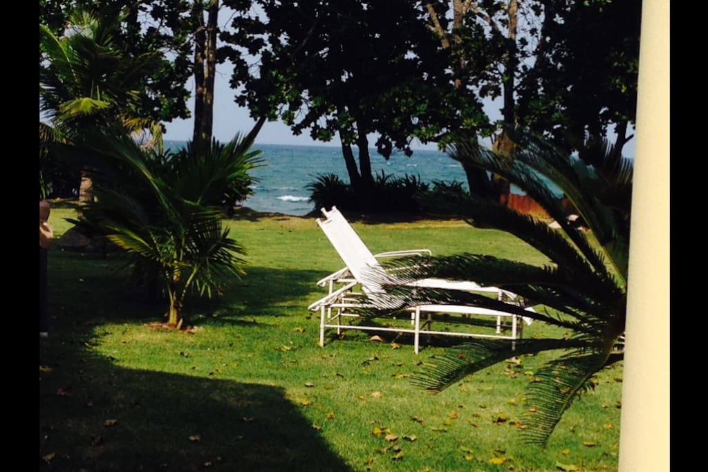 jardim pé na areia