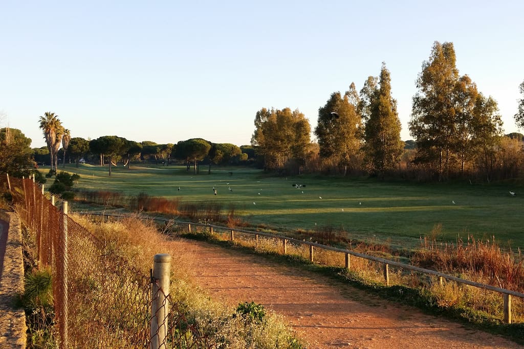 Vistas del campo de golf