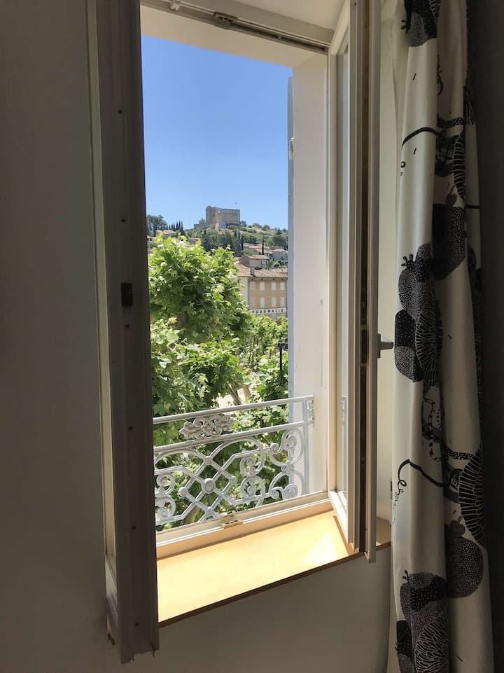 Vue sur le château