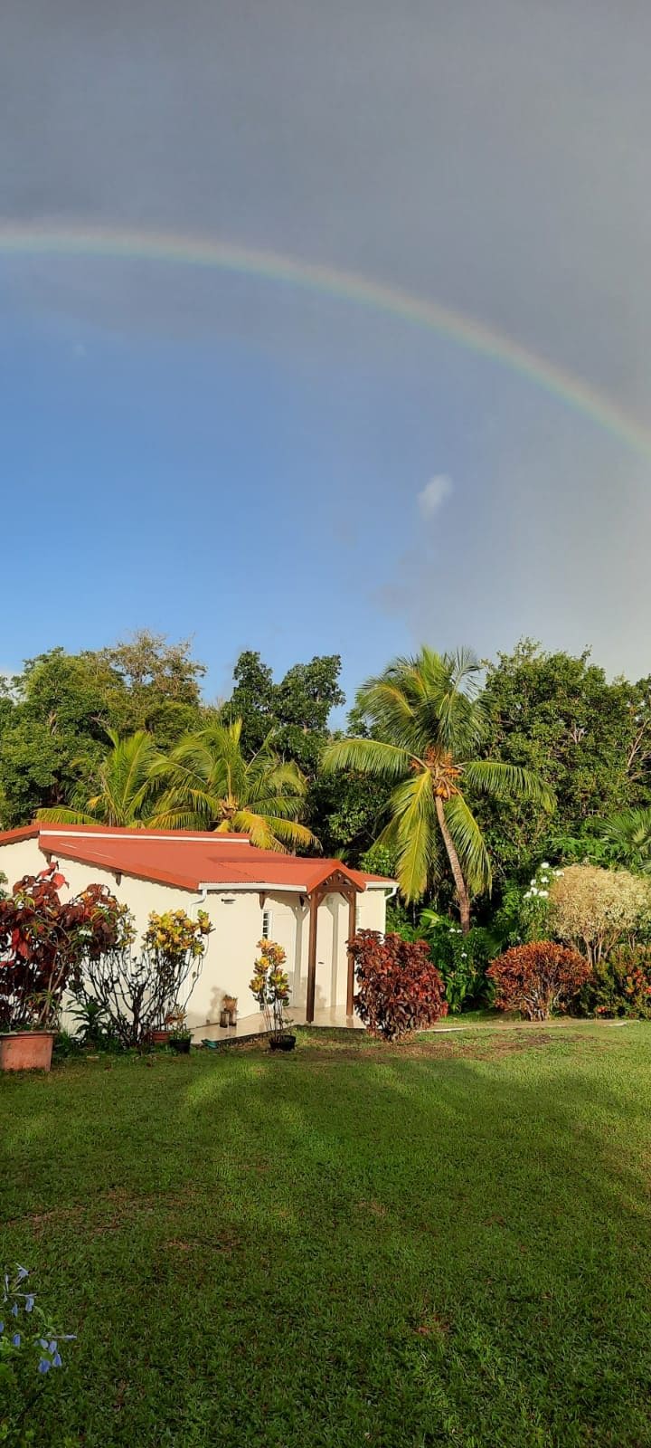 A charming exterior view of the property is displayed, surrounded by tropical foliage and colorful plants. A gentle slope of green grass leads to the white building with a red roof, under a clear blue sky and a faint rainbow arching overhead.