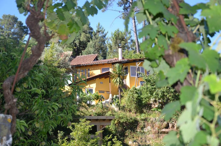 Airbnb Treixedo Vacation Rentals Places To Stay Airbnb Treixedo Vacation Rentals Places To Stay