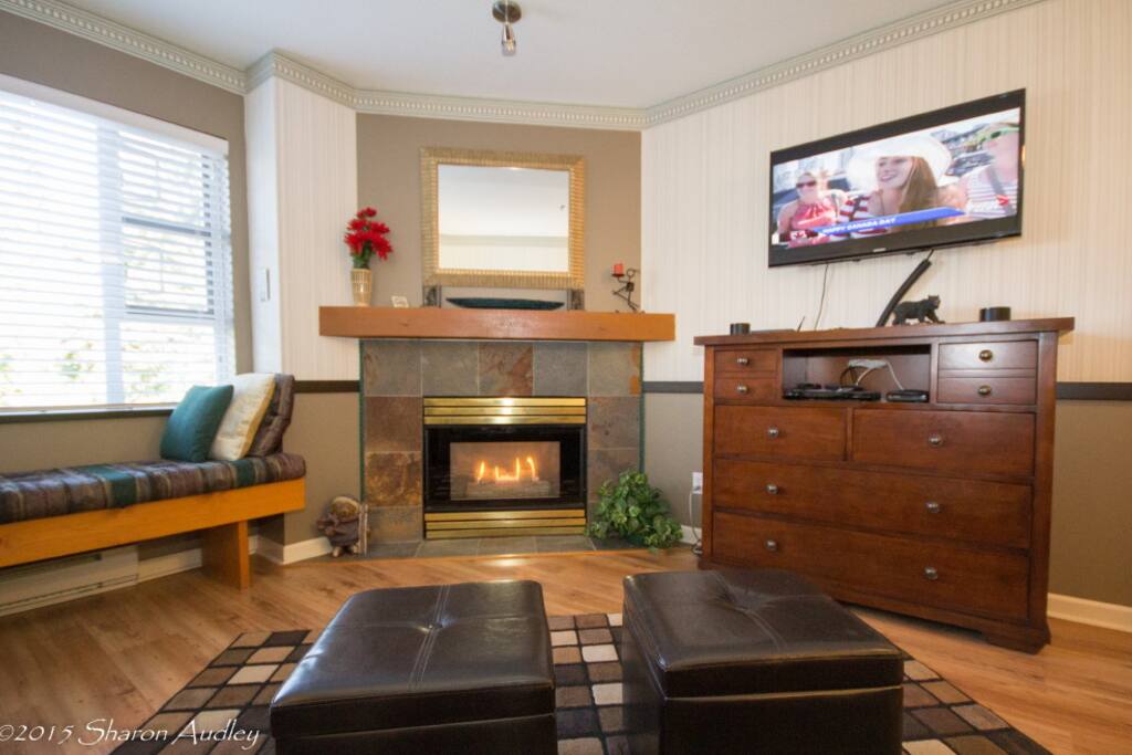 Lovely gas fireplace with LCD TV and complete DVD library