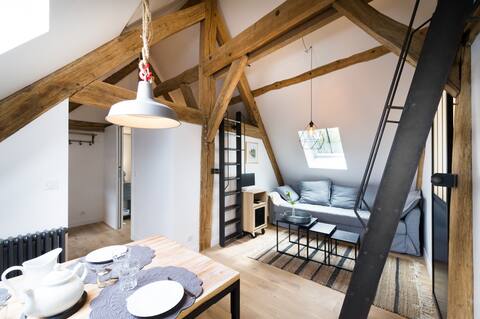 Coeur de Montfort l 'Amaury, charming apartment