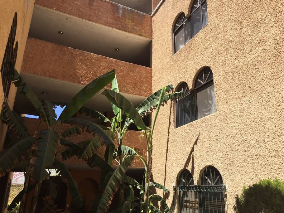 edificio