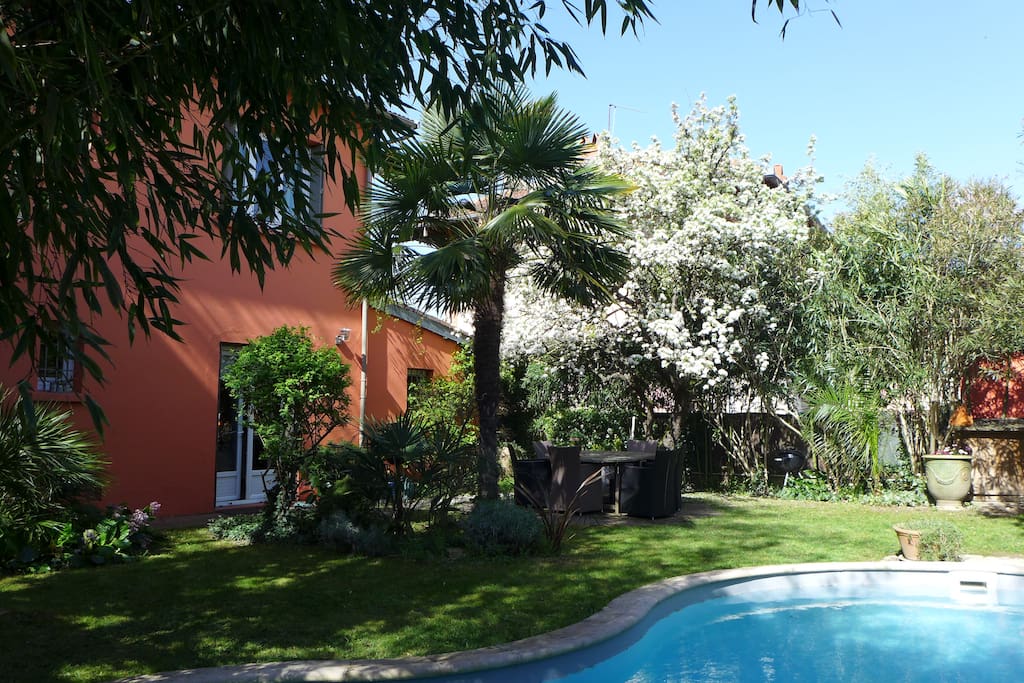la piscine et le jardin encore et encore ...