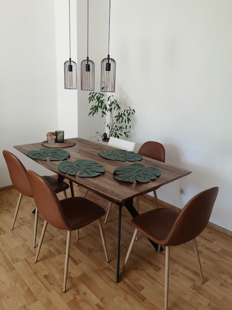 Pretty 2 bedroom apartment near downtown