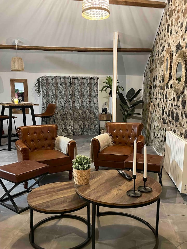 • Le Loft De La Casa Del Jaguar - Spa Balnéo • - Clisson