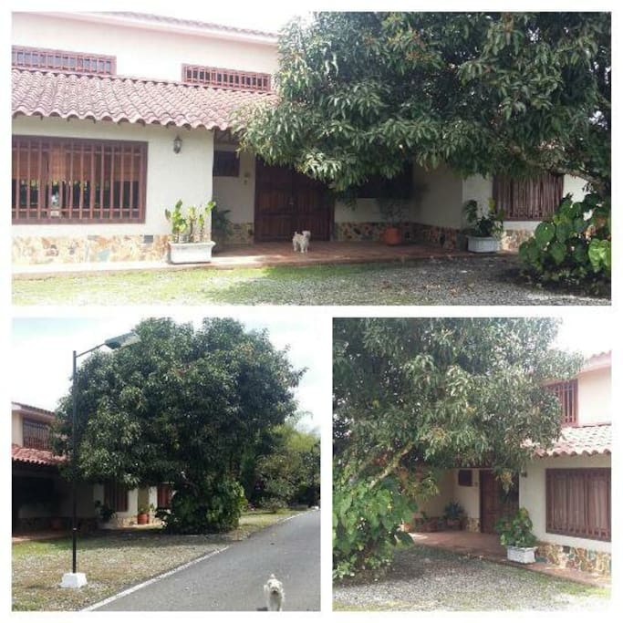 Frente de la casa campestre,dentro de uno de los condominios mas exclusivos de la ciudad.