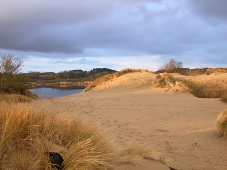A serene landscape featuring soft sand dunes framed by low grass. A small pond reflects the sky, surrounded by sparse vegetation and distant hills. The cloudy sky adds a calm ambiance to the natural setting.