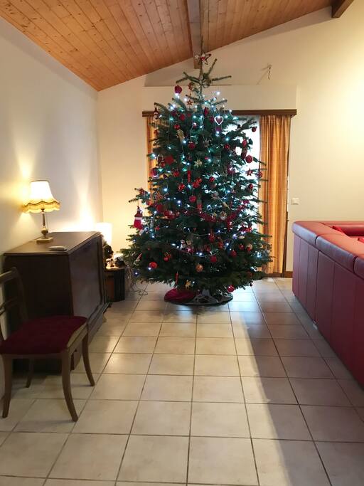 Le plus beau sapin de Noël vous attend....Magique...
