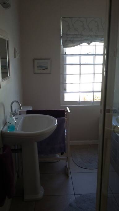 Bathroom with courtyard view
