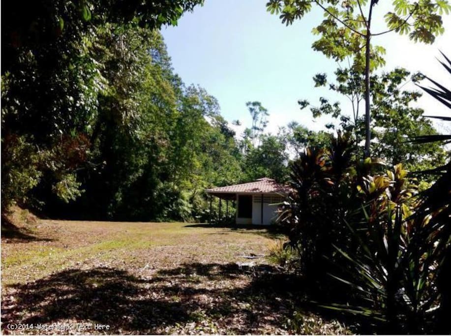 front yard