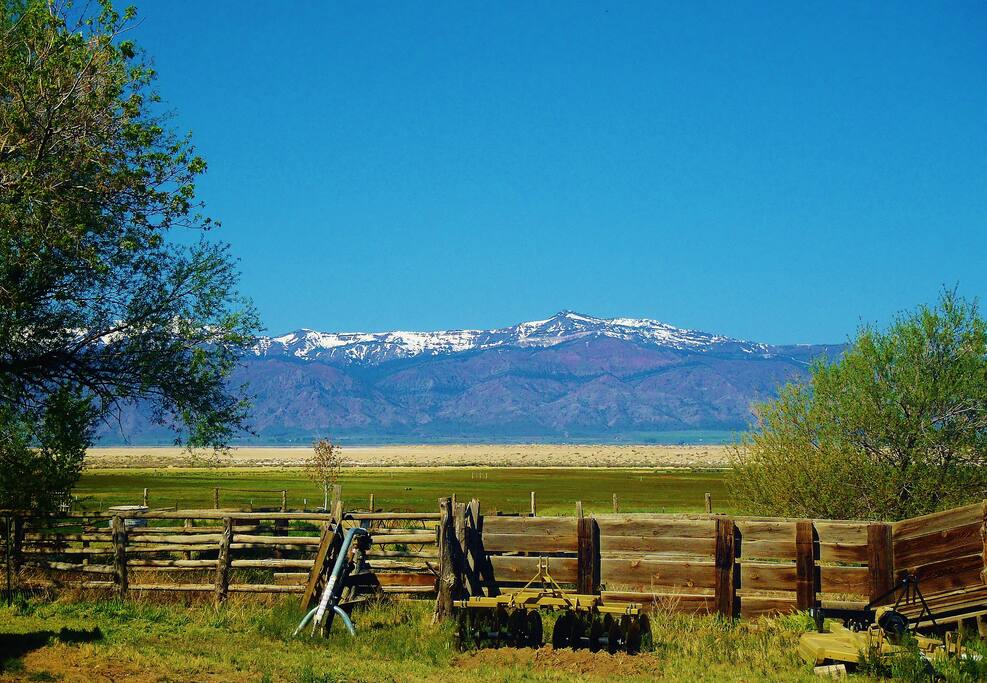 SanctuaryCabin at Artist's Remote Ranch Oasis Cabins for Rent in