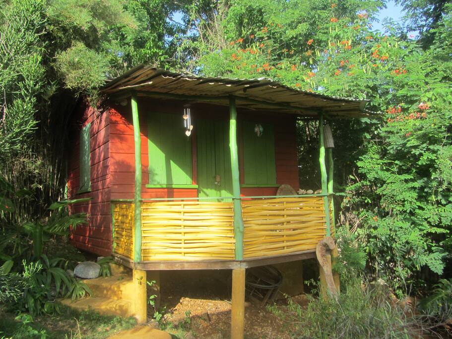 Jungle Shack