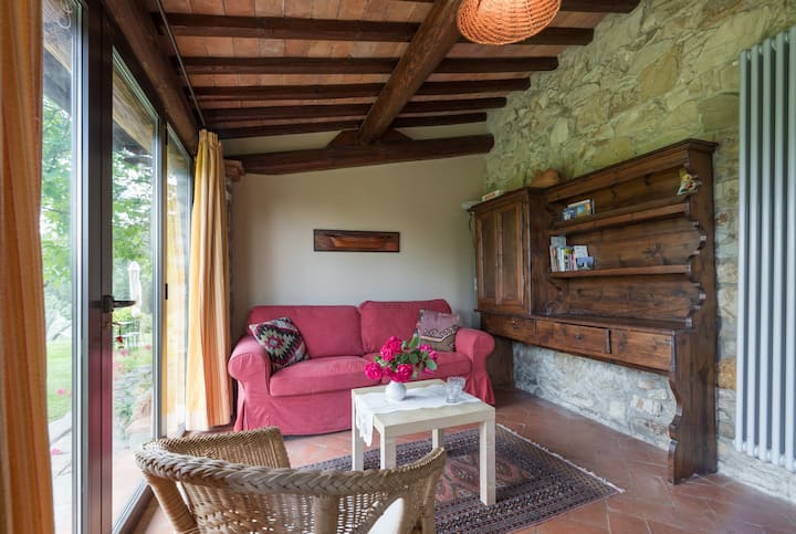 Carmignano*l'olivo +Piscine - Tuscany