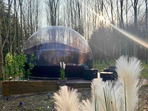 Unusual home in a bubble with a pool