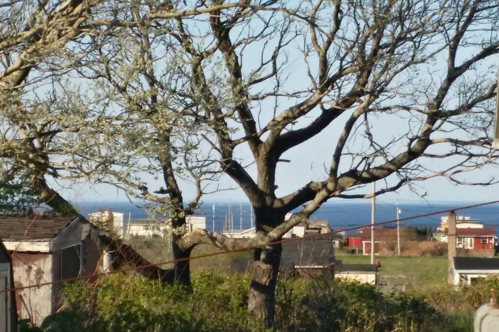 View of the ocean from our back yard