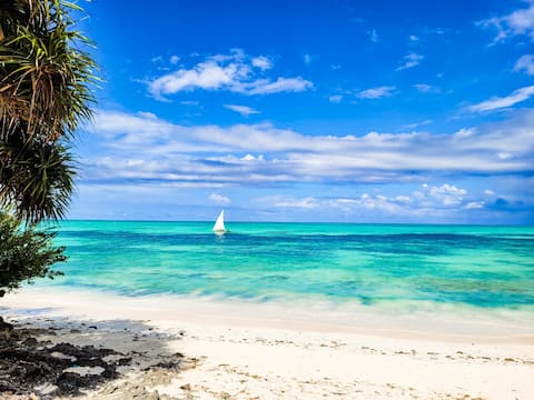 Coconut Beach Studio - Seaside & Free WiFi