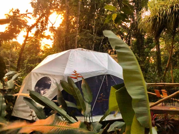 Beach front eco dome glamping Dome houses for Rent in Puerto Viejo de