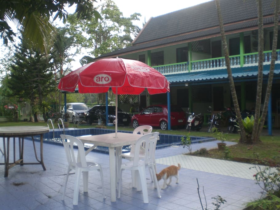 House view