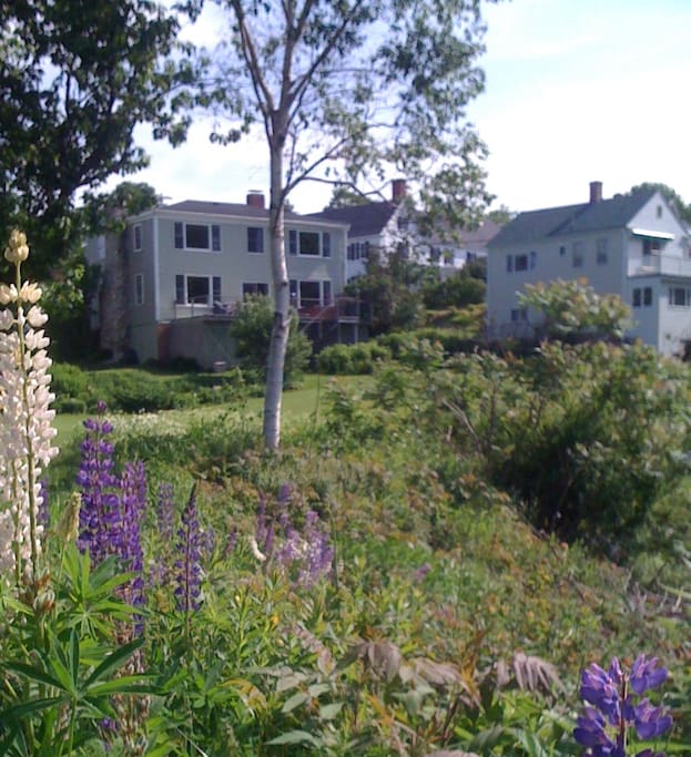 The Little House (on the right); Owner's home on the left.
