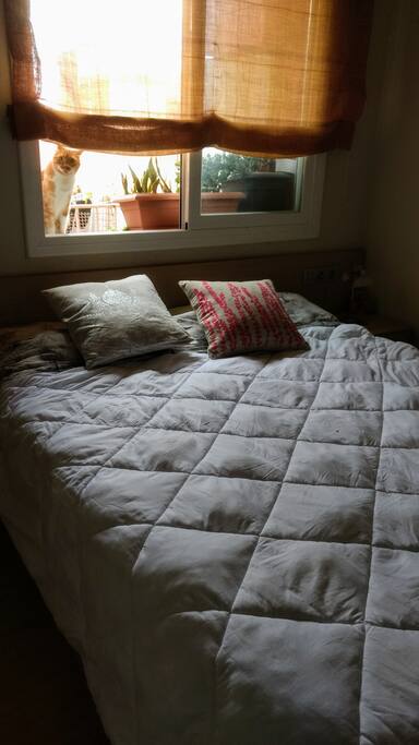 Sunny bedroom for 2 pax