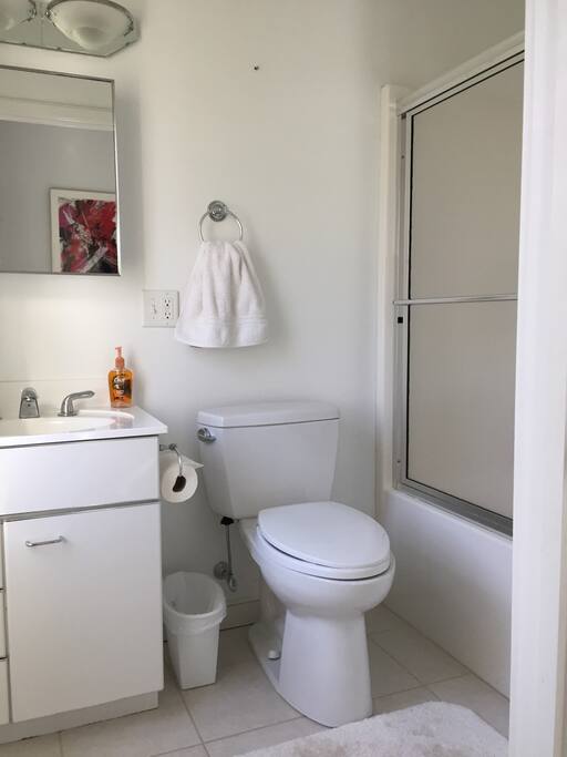 Private guest bathroom