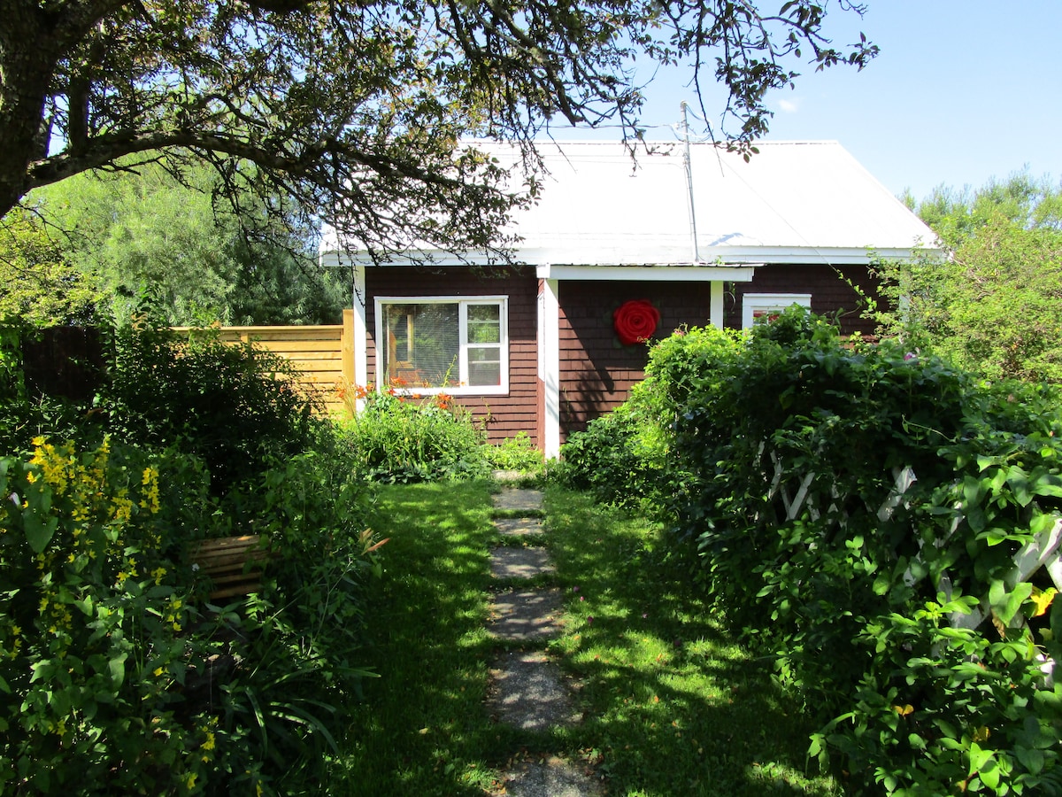 A quaint cottage is framed by lush greenery and vibrant flowers. A stone pathway leads to the entrance, bordered by various plants. Bright sunlight illuminates the scene, highlighting the charming red decoration on the door against the dark brown exterior.