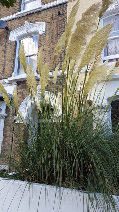 Outside of our terraced house
