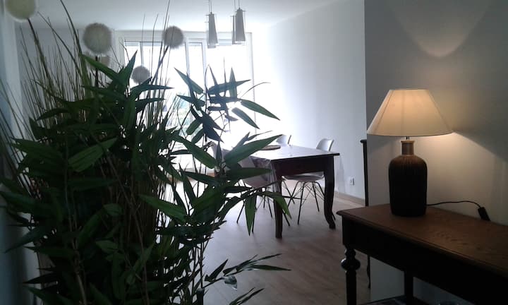 Entre Bassin Et Dune Logement Entier 2 Chambres - Bassin d'Arcachon