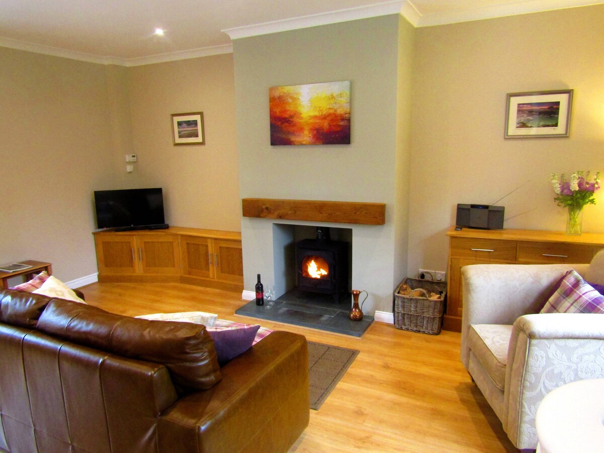 The spacious living room features a cozy seating arrangement with a leather couch and an armchair. A wood-burning stove is centered against a subtle hued wall, surrounded by wooden cabinetry. Natural light fills the room, highlighting a colorful artwork above the fireplace.