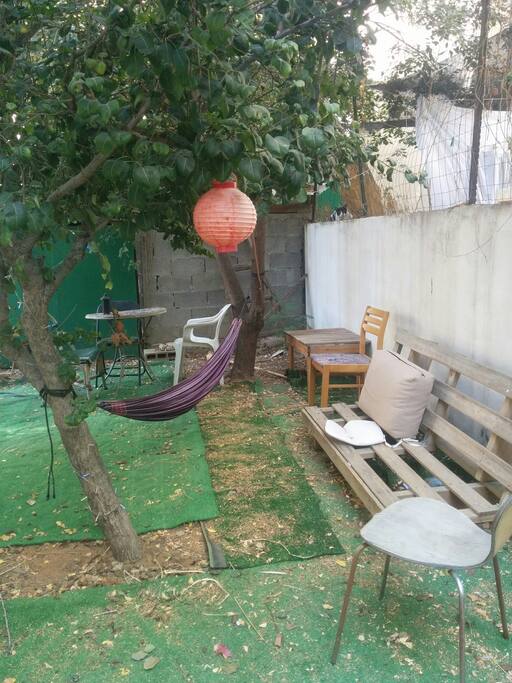 The yard
