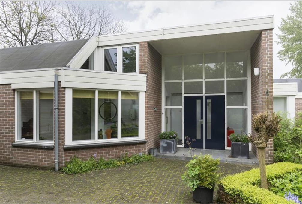 Welkom in "de Kikkerpoel"!