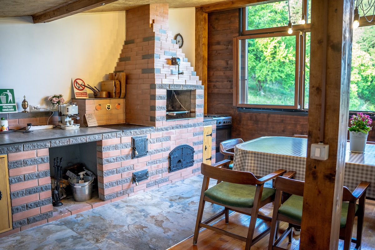 A rustic kitchen features a large stone fireplace and an adjacent grilling area. Natural light floods the space through large windows, illuminating a wooden dining table surrounded by several chairs. Potted plants add a touch of greenery, enhancing the overall ambiance.