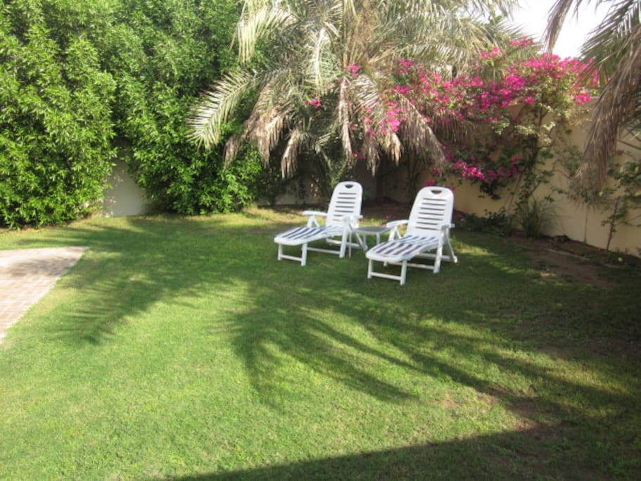 Garden view