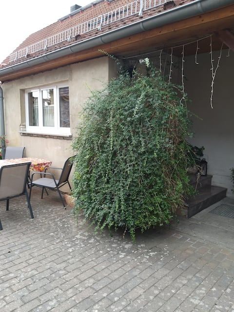 Apartment in the Lusatian Lakeland for 5 persons
