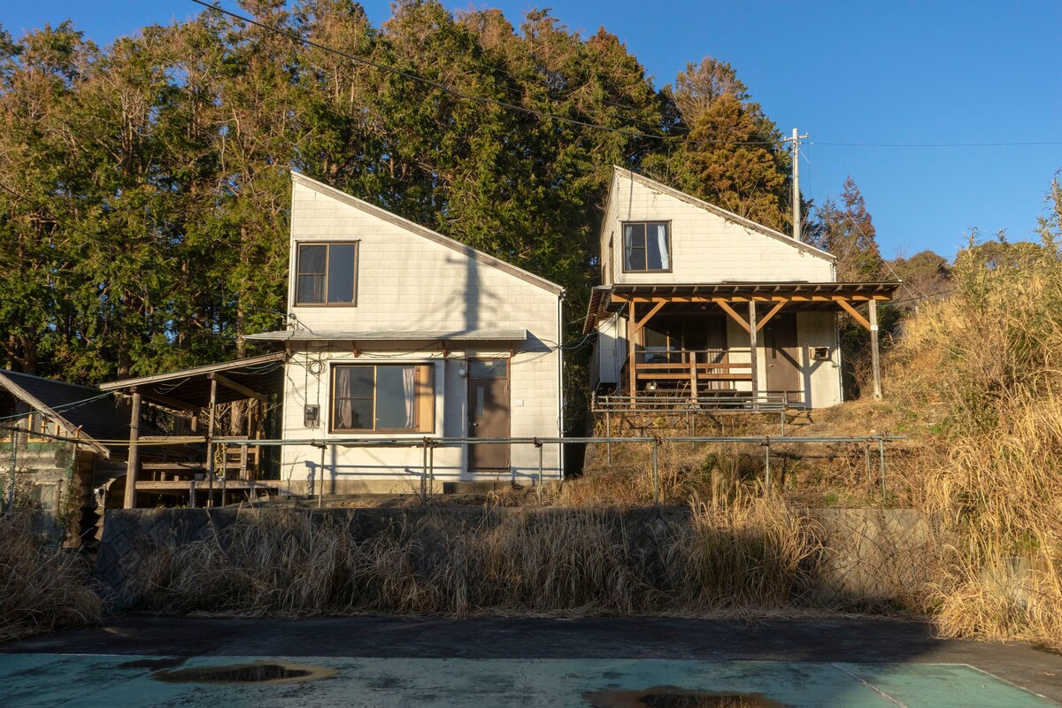 Two charming structures stand amidst lush greenery, featuring sloped roofs and large windows. One house boasts a covered porch, perfect for outdoor relaxation, while the other is surrounded by grass. The scene captures a tranquil integration with the natural environment.